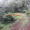 LAND AVAILABLE FOR SALE IN GOA - ARPORA